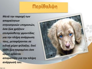 Μετά την παροχή των
απαραίτητων
κτηνιατρικών υπηρεσιών,
όσα ζώα χρήζουν
επιπρόσθετης φροντίδας
για την πλήρη ανάρρωση
τους, μεταφέρονται σε
ειδικό χώρο φύλαξης. Εκεί
κάθε ζώο παραμένει όσο
καιρό κρίνεται
απαραίτητο για την πλήρη
ανάρρωσή του.
 