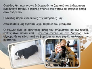 Ο μύθος λέει πως όταν ο θεός χώριζε τα ζώα από τον άνθρωπο με
ένα δυνατό ποτάμι, ο σκύλος πήδηξε στο ποτάμι και στάθηκε δίπλα
στον άνθρωπο.
O σκύλος παραμένει αιώνες στις υπηρεσίες μας.
Από κουτάβι μας αγαπάει μέχρι τα βαθιά του γεράματα.
Ο σκύλος είναι «ο καλύτερος φίλος του ανθρώπου» και όχι τυχαία,
καθώς είναι πάντα εκεί και στα εύκολα και στα δύσκολα, ενώ
σίγουρα δε σε κάνει ποτέ να βαριέσαι και σου χαρίζει απλόχερα την
αγάπη του.
 