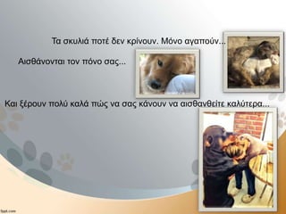 Τα σκυλιά ποτέ δεν κρίνουν. Μόνο αγαπούν...
Αισθάνονται τον πόνο σας...
Και ξέρουν πολύ καλά πώς να σας κάνουν να αισθανθείτε καλύτερα...
 