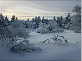 "Чародейкою зимою" (Ф.И. Тютчев)
