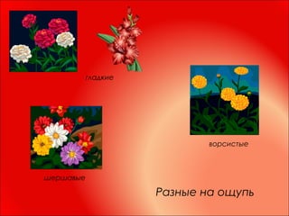 гладкие
ворсистые
шершавые
Разные на ощупь
 