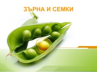 ЗЪРНА И СЕМКИ
 