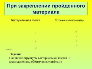 При закреплении пройденного
материала
13 января 2011 г.
Бактериальная клетка
1
3
2
Строение хламидомонады
1
5
2
3
4
Задание.
Напишите структуры бактериальной клетки и
хламидомонады обозначенные цифрами
 
