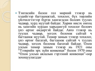  Тэнгисийн болон гол мөрний тээвэр нь
хэдийгээр багтаамжтай, тохилог, бүх төрлийн
үйлчилгээгээр бүрэн хангагдсан боловч туулах
чадвар, хурд муутай байдаг. Харин нисэх онгоц
нь хамгийн хурдан харьцангуй тохилог боловч
үнэ өртөг өндөртэй байдаг. Авто тээвэр нь
туулах чадвар, зогсох боломж сайтай ч
багтаамж муутай. Төмөр замын тээвэр тохилог,
үнэ өртөг багатай, багтаамж сайтай ч туулах
чадвар, зогсох боломж багатай байдаг. Олон
улсын төмөр замын тээвэр нь 1921 оны
“Тээврийн эрх зүйн конвенци” болон 1970 оны
“Олон улсын аялалын гэрээний конвенци”-оор
зохицуулагддаг
 