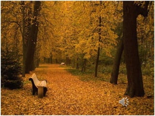 звуки природы