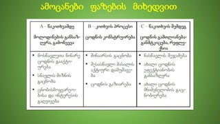 ამოცანები ფაზების მიხედვით
 