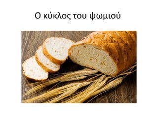 Ο κύκλος του ψωμιού
 