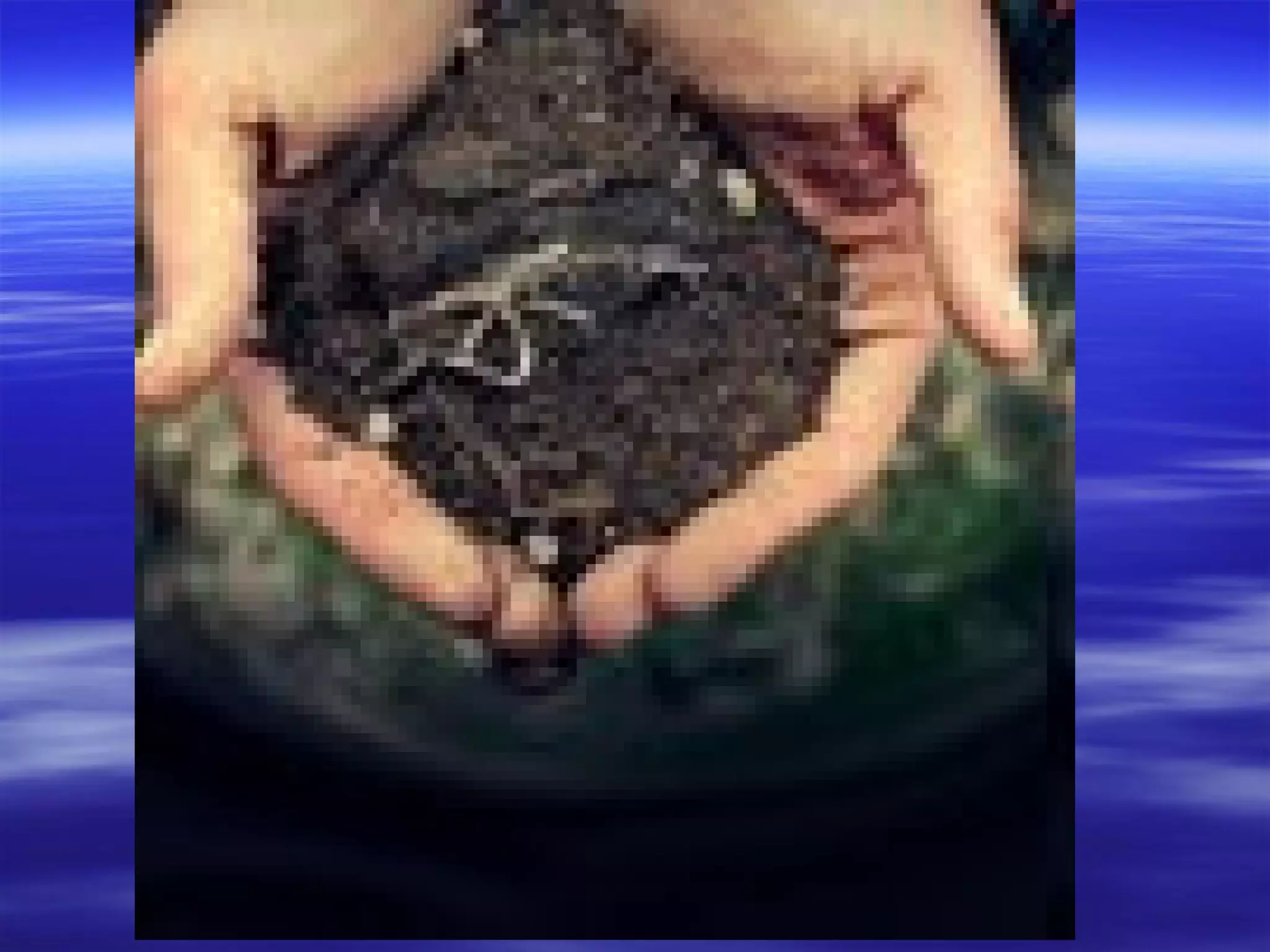 захід до дня збройних сил україни