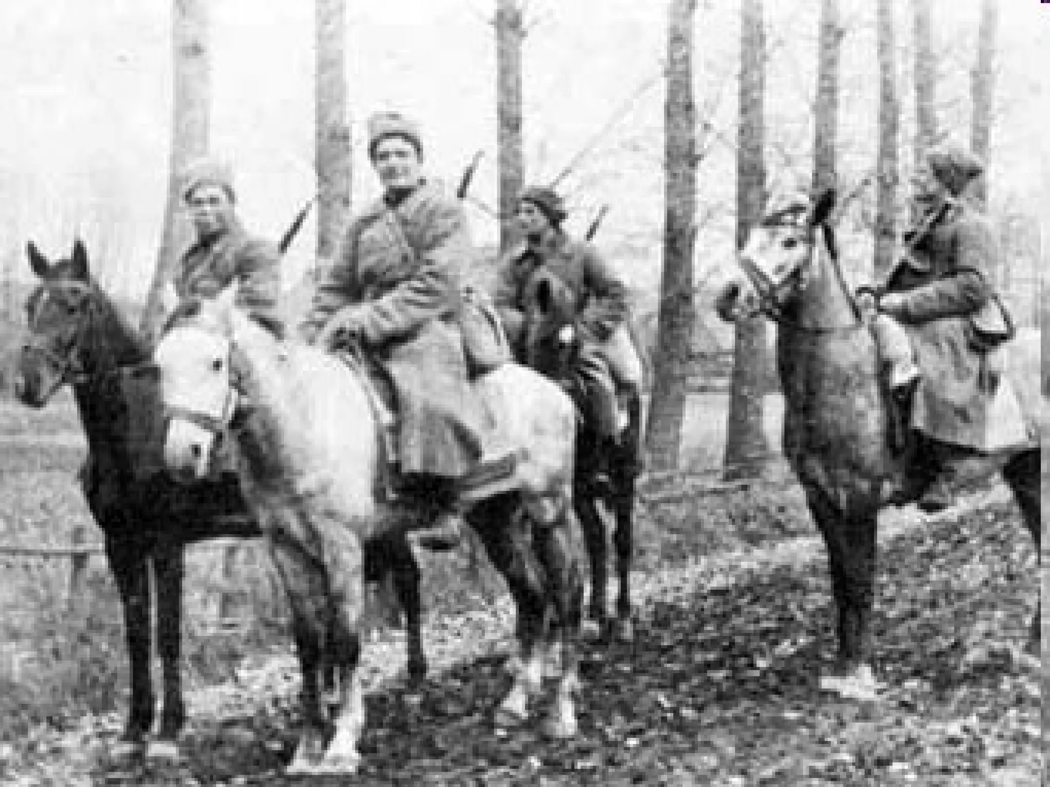 захід до дня збройних сил україни