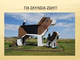 ΓΙΑ ΣΚΥΛΙΣΙΑ ΖΩΗ!!!
 
