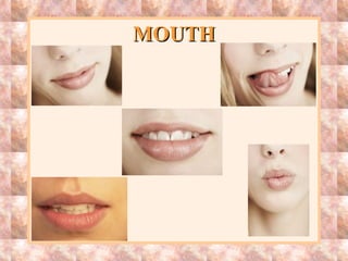 MOUTHMOUTH
 