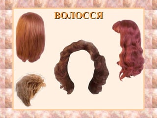 ВОЛОССЯВОЛОССЯ
 