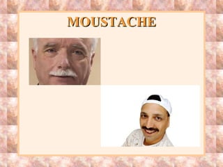 MOUSTACHEMOUSTACHE
 