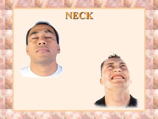 NECKNECK
 