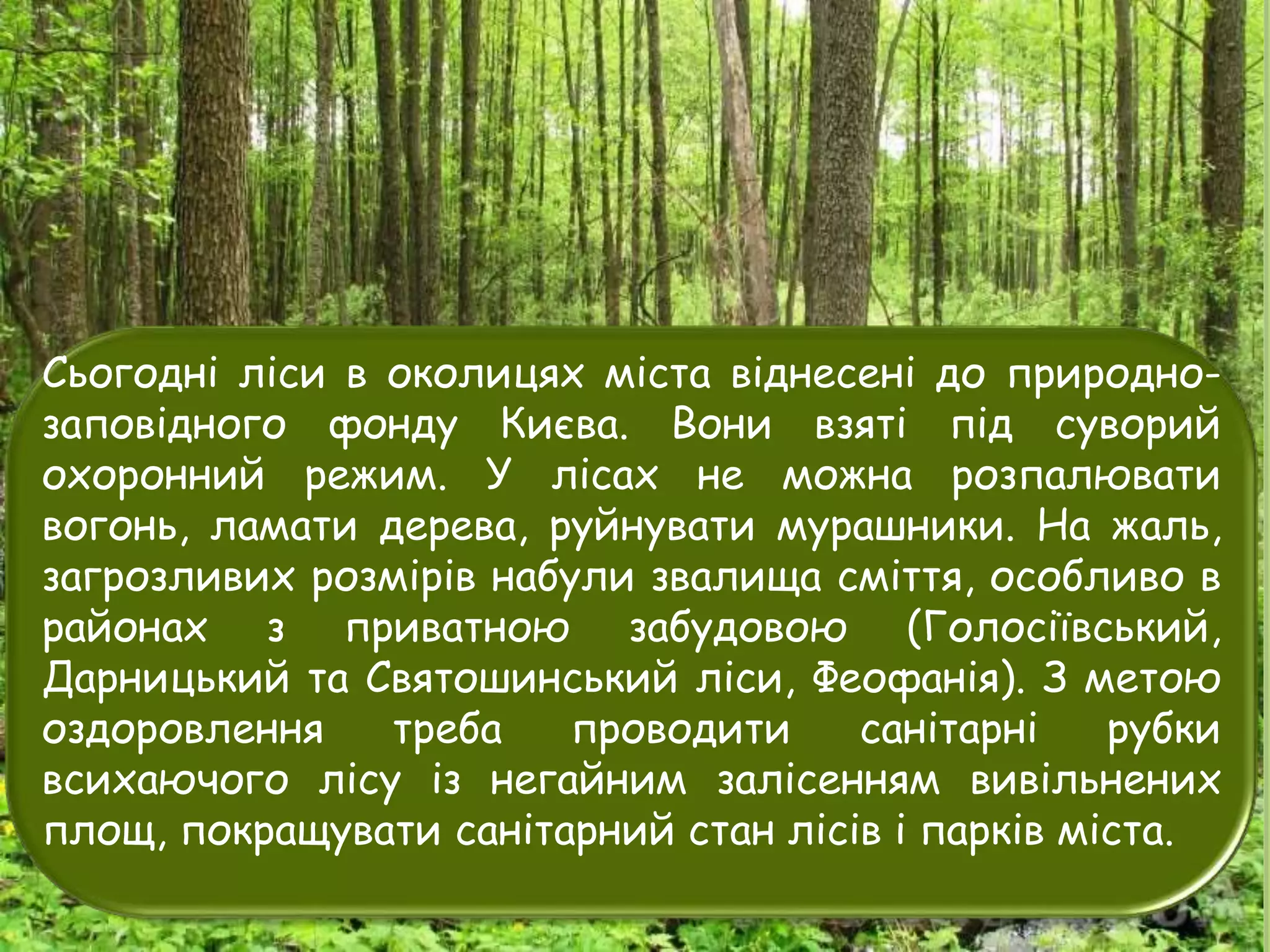 Рослинний і тваринний світ Київщини | PPT