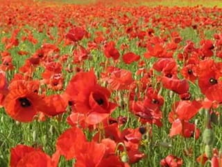 Имена героев в названиях улиц нашего города