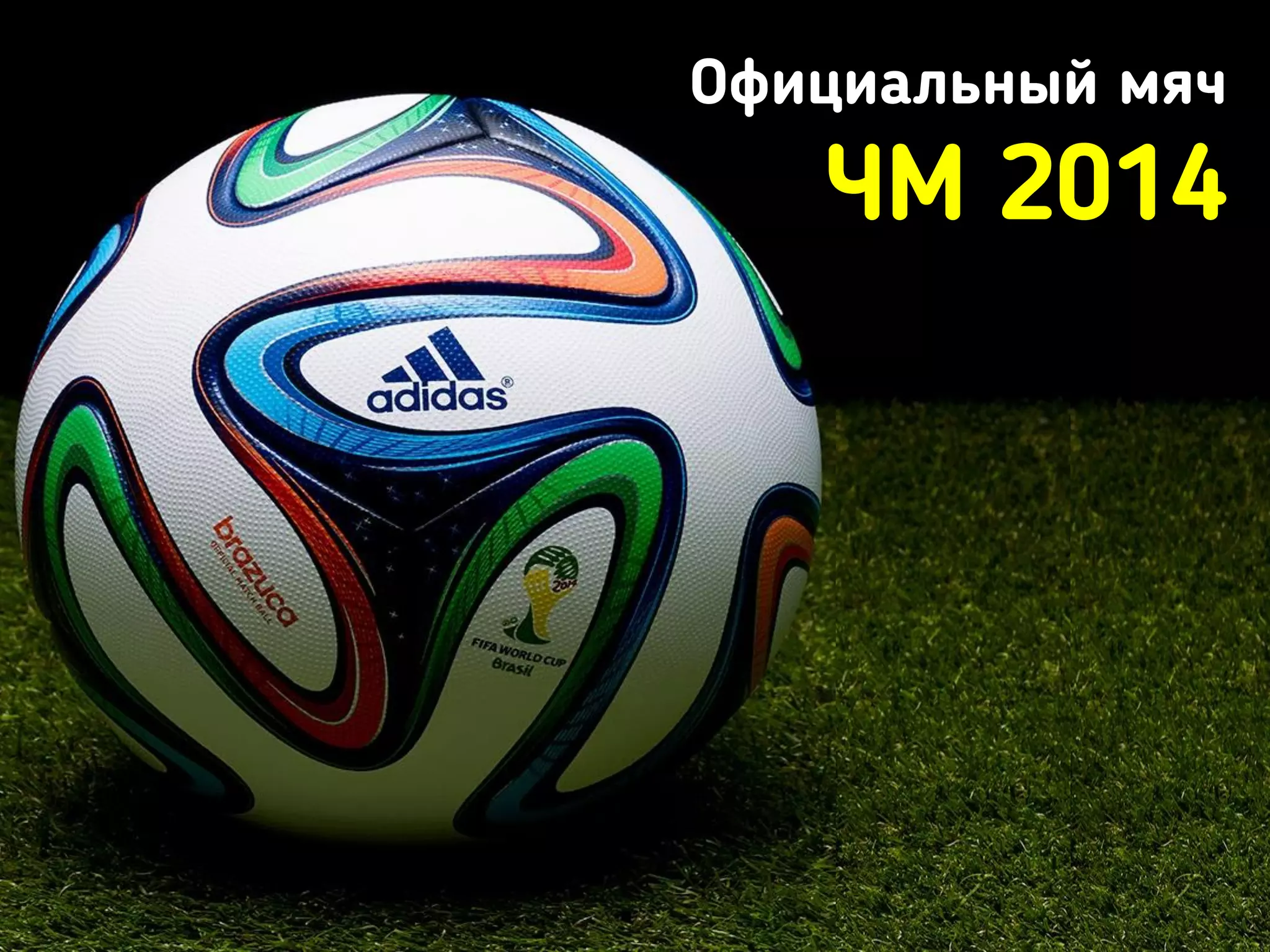 Официальный мяч
ЧМ 2014
 