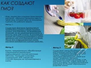 КАК СОЗДАЮТ
ГМО?
 Итак, задача при создании трансгенного
растения - обычному организму ввести
такие гены, которые «ему не положены».
Сделать это довольно трудно.
 Метод 1:
Существует бактерия Agrobacterium
tumefaciens Сначала ученые получили
штамм этой бактерии, не вызывающий
опухолей, но не лишенный возможности
вносить свою ДНК в клетку. В дальнейшем
нужный ген сначала клонировали и затем
заражали уже этой бактерией растение.
После чего инфицированные клетки
растения приобретали нужные свойства,
 Метод 2:
Клетки, предварительно обработанные
специальными реагентами,
разрушающими толстую клеточную
оболочку, помещают в раствор,
содержащий: ДНК и вещества,
способствующие ее проникновению в
клетку.
 Метод 3:
Существует метод бомбардировки
растительных клеток специальными,
очень маленькими вольфрамовыми
пулями, содержащими ДНК. С
некоторой вероятностью такая пуля
может правильно передать
генетический материал клетке, и так
растение получает новые свойства. А
сама пуля ввиду ее микроскопических
размеров не мешает нормальному
развитию клетки.
 