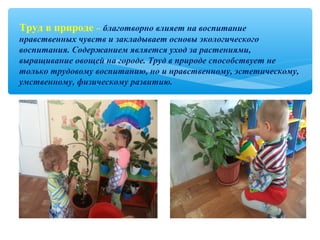 Труд в природе – благотворно влияет на воспитание
нравственных чувств и закладывает основы экологического
воспитания. Содержанием является уход за растениями,
выращивание овощей на городе. Труд в природе способствует не
только трудовому воспитанию, но и нравственному, эстетическому,
умственному, физическому развитию.
 