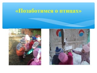«Позаботимся о птицах»
 
