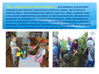 Труд в природе имеет свои особенности: результатом может быть
материальный продукт (выращенные ребёнком овощи), это сближает
детский труд с производительным трудом взрослых; труд в природе чаще
всего имеет отсроченный результат; он даёт возможность одновременно
развивать познавательные интересы дошкольников (дети наблюдают за
ростом и развитием живых объектов, узнают об особенностях некоторых
растений, экспериментируют, познавая неживую природу); этот вид труда
даёт детям возможность доставлять радость другим людям.
 