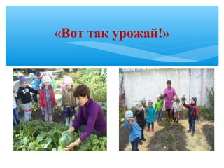 «Вот так урожай!»
 