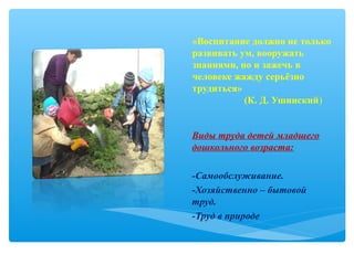 «Воспитание должно не только
развивать ум, вооружать
знаниями, но и зажечь в
человеке жажду серьёзно
трудиться»
(К. Д. Ушинский)
Виды труда детей младшего
дошкольного возраста:
-Самообслуживание.
-Хозяйственно – бытовой
труд.
-Труд в природе
 