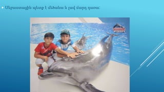  Սեբաստացին պետք է մեծանա և լավ մարդ դառա:
 