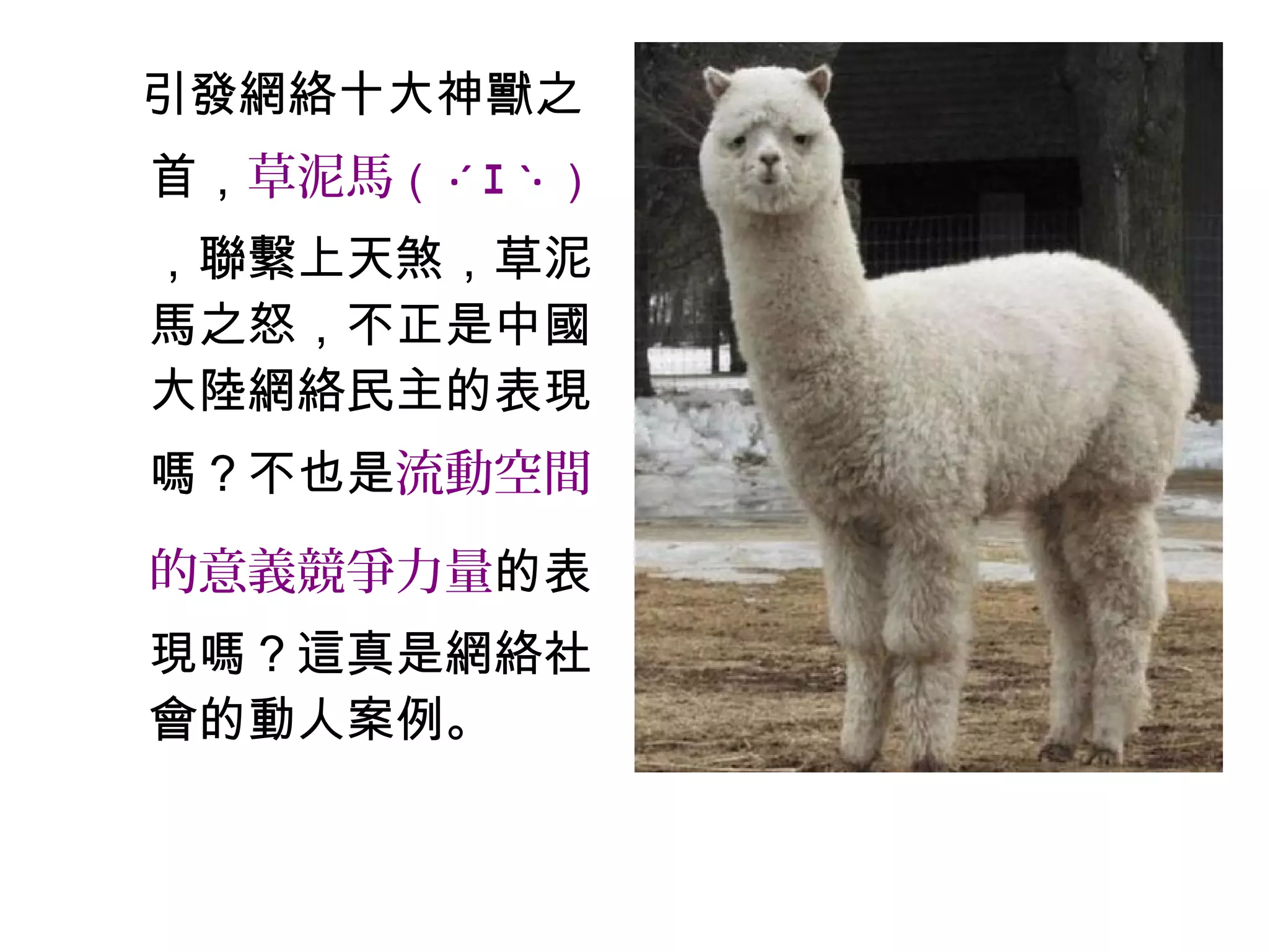 引發網絡十大神獸之
首，草泥馬（ ·´ ｪ `· ）
，聯繫上天煞，草泥
馬之怒，不正是中國
大陸網絡民主的表現
嗎？不也是流動空間
的意義競爭力量的表
現嗎？這真是網絡社
會的動人案例。
 