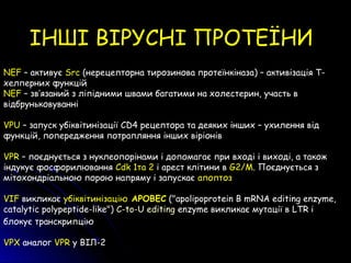 NEF – активує Src (нерецепторна тирозинова протеїнкіназа) – активізація Т-
хелперних функцій
NEF – зв’язаний з ліпідними швами багатими на холестерин, участь в
відбруньковуванні
VPU – запуск убіквітинізації CD4 рецептора та деяких інших – ухилення від
функцій, попередження потрапляння інших віріонів
VPR – поєднується з нуклеопорінами і допомагає при вході і виході, а також
індукує фосфорилювання Cdk 1та 2 і арест клітини в G2/M. Поєднується з
мітохондріальною порою напряму і запускає апоптоз
VIF викликає убіквітинізацію APOBEC ("apolipoprotein B mRNA editing enzyme,
catalytic polypeptide-like") C-to-U editing enzyme викликає мутації в LTR і
блокує транскрипцію
VPX аналог VPR у ВІЛ-2
ІНШІ ВІРУСНІ ПРОТЕЇНИ
 