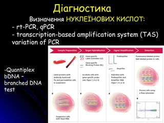 Визначення НУКЛЕЇНОВИХ КИСЛОТ:
- rt-PCR, qPCR
- transcription-based amplification system (TAS)
variation of PCR
ДіагностикаДіагностика
-Quantiplex
bDNA –
branched DNA
test
 