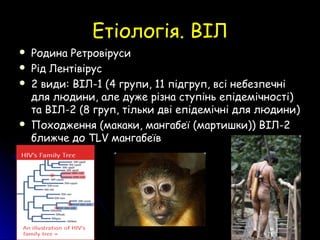Етіологія. ВІЛЕтіологія. ВІЛ
 Родина РетровірусиРодина Ретровіруси
 Рід ЛентівірусРід Лентівірус
 2 види: ВІЛ-1 (4 групи, 11 підгруп, всі небезпечні2 види: ВІЛ-1 (4 групи, 11 підгруп, всі небезпечні
для людини, але дуже різна ступінь епідемічності)для людини, але дуже різна ступінь епідемічності)
та ВІЛ-2 (8 груп, тільки дві епідемічні для людини)та ВІЛ-2 (8 груп, тільки дві епідемічні для людини)
 Походження (макаки, мангабеї (мартишки)) ВІЛ-2Походження (макаки, мангабеї (мартишки)) ВІЛ-2
ближче доближче до TLVTLV мангабемангабеїївв
 