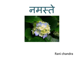 नमस्ते
Rani chandra
 
