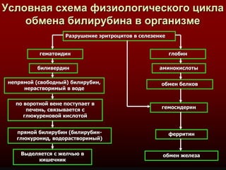 Острый Холецистит | PPT