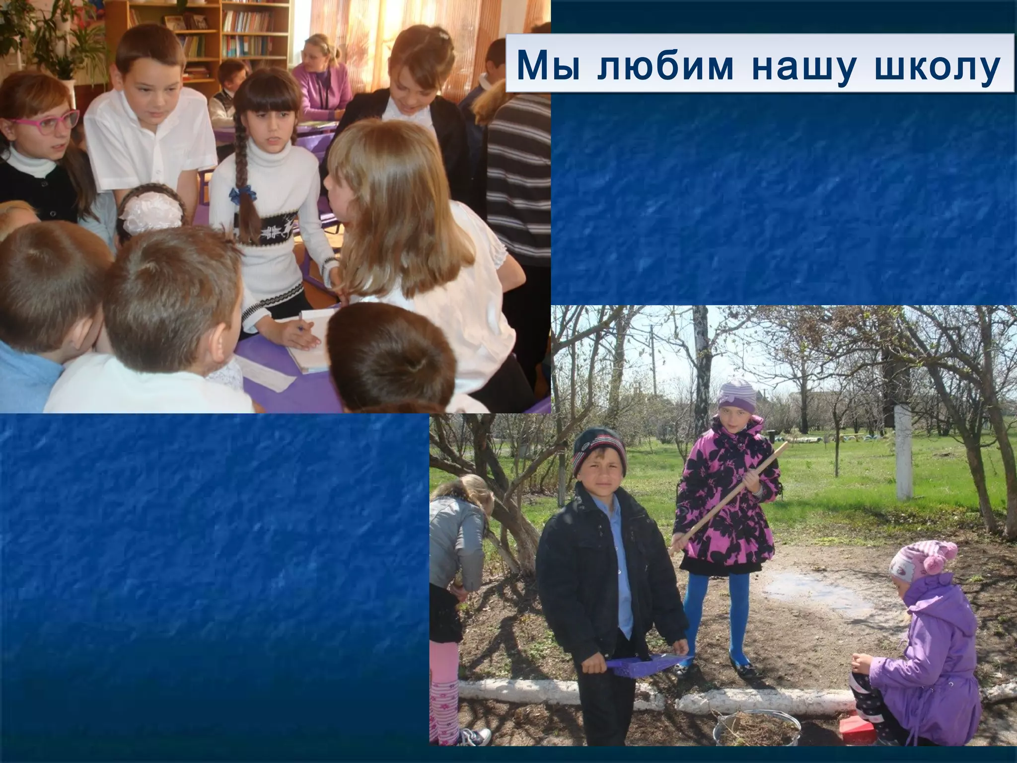 Мы любим нашу школуМы любим нашу школу
 