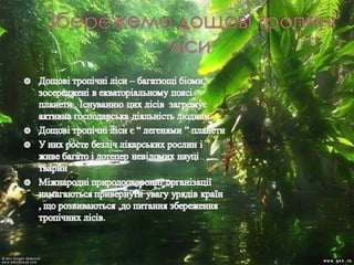 Еекологічні проблеми сьогодення