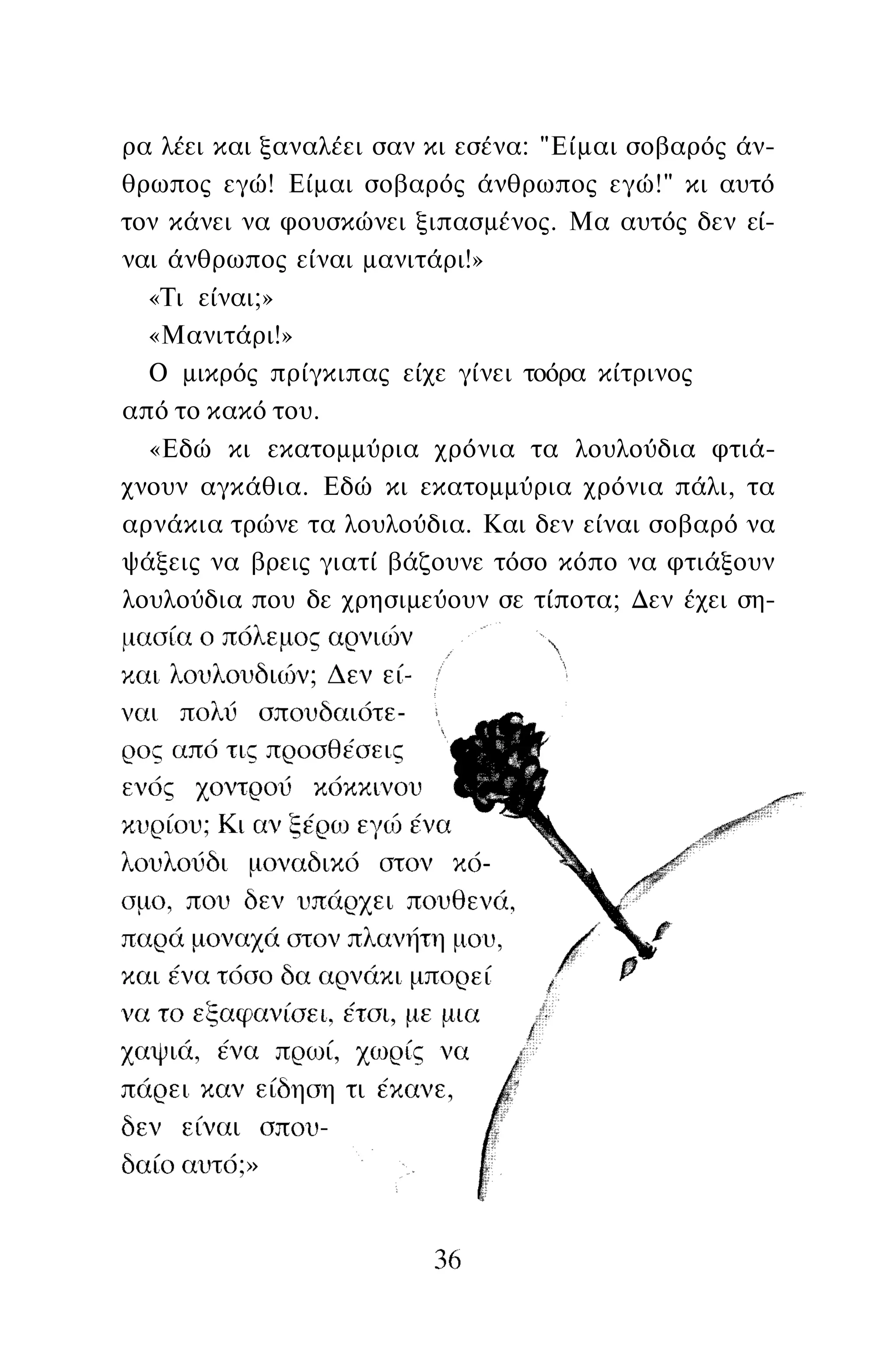 ρα λέει και ξαναλέει σαν κι εσένα: "Είμαι σοβαρός άν­
θρωπος εγώ! Είμαι σοβαρός άνθρωπος εγώ!" κι αυτό
τον κάνει να φουσκώνει ξιπασμένος. Μα αυτός δεν εί­
ναι άνθρωπος είναι μανιτάρι!»
«Τι είναι;»
«Μανιτάρι!»
Ο μικρός πρίγκιπας είχε γίνει τοόρα κίτρινος
από το κακό του.
«Εδώ κι εκατομμύρια χρόνια τα λουλούδια φτιά­
χνουν αγκάθια. Εδώ κι εκατομμύρια χρόνια πάλι, τα
αρνάκια τρώνε τα λουλούδια. Και δεν είναι σοβαρό να
ψάξεις να βρεις γιατί βάζουνε τόσο κόπο να φτιάξουν
λουλούδια που δε χρησιμεύουν σε τίποτα; Δεν έχει ση-
 