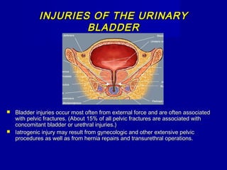INJURIES OF THE URINARYINJURIES OF THE URINARY
BLADDERBLADDER
 Bladder injuries occur most often from external force and are often associatedBladder injuries occur most often from external force and are often associated
with pelvic fractures. (About 15% of all pelvic fractures are associated withwith pelvic fractures. (About 15% of all pelvic fractures are associated with
concomitant bladder or urethral injuries.)concomitant bladder or urethral injuries.)
 Iatrogenic injury may result from gynecologic and other extensive pelvicIatrogenic injury may result from gynecologic and other extensive pelvic
procedures as well as from hernia repairs and transurethral operations.procedures as well as from hernia repairs and transurethral operations.
 