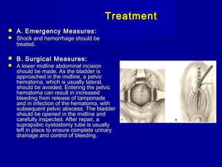 TreatmentTreatment
 A.A. Emergency Measures:Emergency Measures:
 Shock and hemorrhage should beShock and hemorrhage should be
treatedtreated..
 B.B. Surgical Measures:Surgical Measures:
 A lower midline abdominal incisionA lower midline abdominal incision
should be made. As the bladder isshould be made. As the bladder is
approached in the midline, a pelvicapproached in the midline, a pelvic
hematoma, which is usually lateral,hematoma, which is usually lateral,
should be avoided. Entering the pelvicshould be avoided. Entering the pelvic
hematoma can result in increasedhematoma can result in increased
bleeding from release of tamponadebleeding from release of tamponade
and in infection of the hematoma, withand in infection of the hematoma, with
subsequent pelvic abscess. The bladdersubsequent pelvic abscess. The bladder
should be opened in the midline andshould be opened in the midline and
carefully inspected. After repair, acarefully inspected. After repair, a
suprapubic cystostomy tube is usuallysuprapubic cystostomy tube is usually
left in place to ensure complete urinaryleft in place to ensure complete urinary
drainage and control of bleeding.drainage and control of bleeding.
 