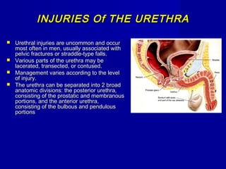 INJURIES Of THE URETHRAINJURIES Of THE URETHRA
 Urethral injuries are uncommon and occurUrethral injuries are uncommon and occur
most often in men, usually associated withmost often in men, usually associated with
pelvic fractures or straddle-type falls.pelvic fractures or straddle-type falls.
 Various parts of the urethra may beVarious parts of the urethra may be
lacerated, transected, or contused.lacerated, transected, or contused.
 Management varies according to the levelManagement varies according to the level
of injury.of injury.
 The urethra can be separated into 2 broadThe urethra can be separated into 2 broad
anatomic divisions: the posterior urethra,anatomic divisions: the posterior urethra,
consisting of the prostatic and membranousconsisting of the prostatic and membranous
portions, and the anterior urethra,portions, and the anterior urethra,
consisting of the bulbous and pendulousconsisting of the bulbous and pendulous
portionsportions
 