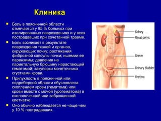 КлиникаКлиника
 Боль в поясничной областиБоль в поясничной области
отмечается у 95 % больных приотмечается у 95 % больных при
изолированных повреждениях и у всехизолированных повреждениях и у всех
пострадавших при сочетанной травме.пострадавших при сочетанной травме.
 Боль возникает в результатеБоль возникает в результате
повреждения тканей и органов,повреждения тканей и органов,
окружающих почку; растяженияокружающих почку; растяжения
фиброзной капсулы почки; ишемии еефиброзной капсулы почки; ишемии ее
паренхимы; давления напаренхимы; давления на
париетальную брюшину нарастающейпариетальную брюшину нарастающей
гематомой; закупорки мочеточникагематомой; закупорки мочеточника
сгустками крови.сгустками крови.
 Припухлость в поясничной илиПрипухлость в поясничной или
подреберной области обусловленаподреберной области обусловлена
скоплением крови (гематома) илископлением крови (гематома) или
крови вместе с мочой (урогематома) вкрови вместе с мочой (урогематома) в
околопочечной или забрюшиннойоколопочечной или забрюшинной
клетчатке.клетчатке.
 Оно обычно наблюдается не чаще чемОно обычно наблюдается не чаще чем
у 10 % пострадавших.у 10 % пострадавших.
 