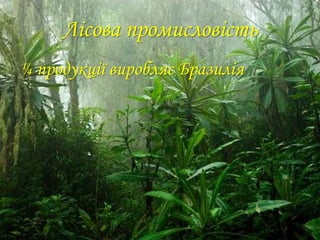 Лісова промисловість
¼ продукції виробляє Бразилія
 
