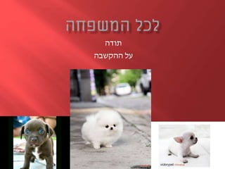 ‫תודה‬
‫ההקשבה‬ ‫על‬
 