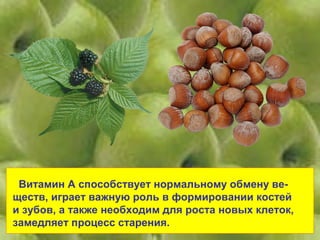 Витамин А способствует нормальному обмену ве-
ществ, играет важную роль в формировании костей
и зубов, а также необходим для роста новых клеток,
замедляет процесс старения.
 