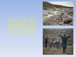 С великим напряжением осваивалась
Большеземельская тундра. Каждый шаг,
каждый вбитый кол, каждый человеческий
след на тундре доставался тяжким
трудом. Оборудование и грузы шли на
Воркуту длиннейшим кружным путем,
около четырех тысяч километров: из
Архангельска по Белому Баренцеву морям,
затем по Печоре вверх, потом по реке Усе,
затем по голой тундре. Наконец, они
попадали на Воркуту только через 2 года.
 