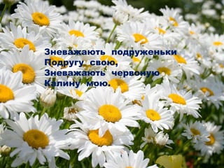 Зневажають подруженьки
Подругу свою,
Зневажають червоную
Калину мою.
 