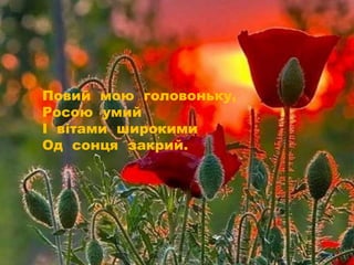 Повий мою головоньку,
Росою умий
І вітами широкими
Од сонця закрий.
 