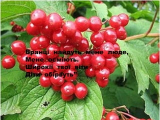 Вранці найдуть мене люде,
Мене осміють.
Широкії твої віти
Діти обірвуть’’.
 