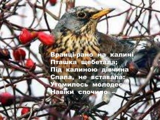 Вранці-рано на калині
Пташка щебетала;
Під калиною дівчина
Спала, не вставала:
Утомилось молодеє,
Навіки спочило –
 