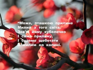 “Може, пташкою прилине
Милий з того світа.
Зов'ю йому кубелечко
І сама прилину,
І будемо щебетати
З милим на калині.
 